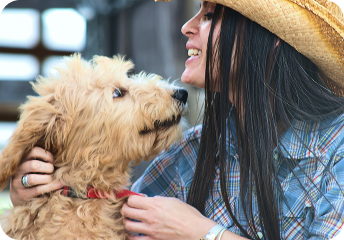 Wag Guarantee Step 1